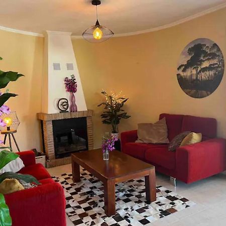 Villa Casa Joli In Oliva With Private Pool And Stunning Views المظهر الخارجي الصورة